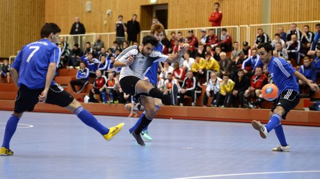 DFB Futsal State Cup 2014